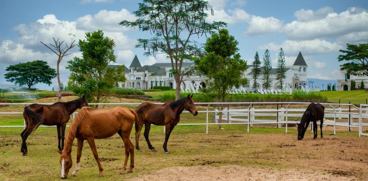 movenpick-resort-khao-yai-horse-riding-2