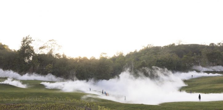 fog-forest-2-2