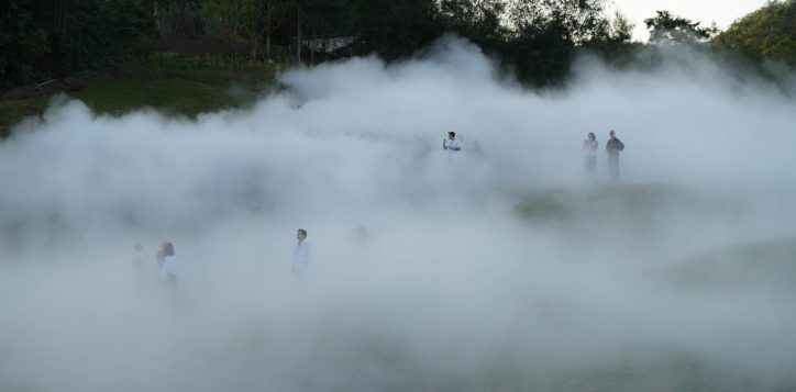 fog-forest-3
