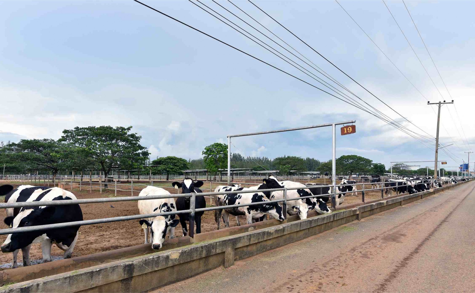 Farm Chokchai